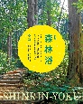 森林浴　近くの公園で家族と一緒にリラックス　ストレスを解消