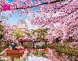 心やすらぐ花　名所絶景カレンダー　2023