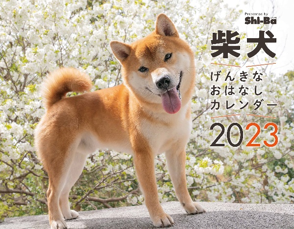 柴犬げんきな　おはなしカレンダー　２０２３