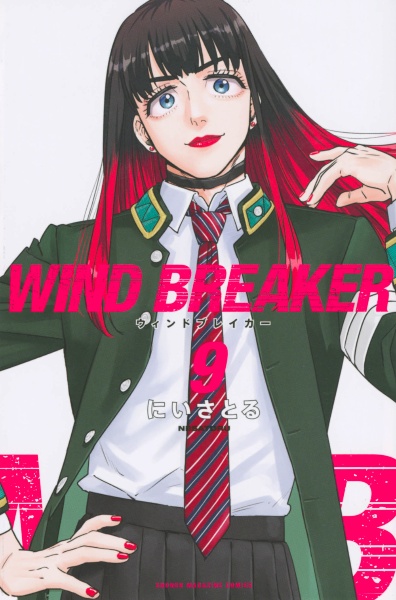 ＷＩＮＤ　ＢＲＥＡＫＥＲ９