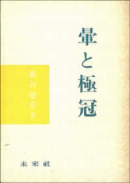 暈と極冠　埴谷雄高対話集