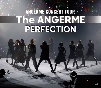 アンジュルム　CONCERT　TOUR　－The　ANGERME－　PERFECTION