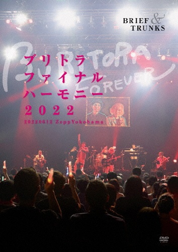 ブリトラBESTバイブルII~ひとりでこっそり聴いた方がいい曲集