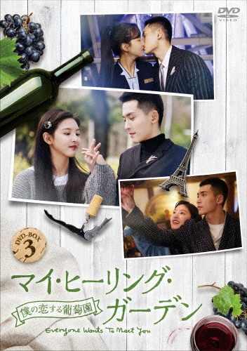 マイ・ヒーリング・ガーデン〜僕の恋する葡萄園〜　DVD－BOX3