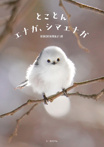 とことんエナガ、シマエナガ/BIRDER編集部 - 販売書籍｜TSUTAYA