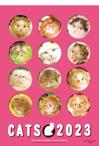 ビッグコミックオリジナル村松誠猫カレンダー 2023年