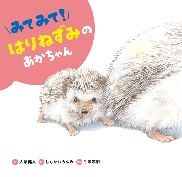 みてみて! はりねずみのあかちゃん