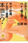 カラスはずる賢い、ハトは頭が悪い、サメは狂暴、イルカは温厚って本当か？