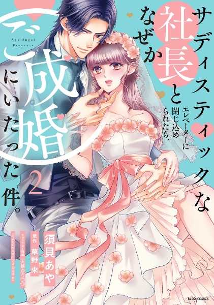 サディスティックな社長とエレベーターに閉じ込められたら、なぜかご成婚にいたった件。