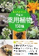 見つけて食べて愉しむ季節の薬用植物150種