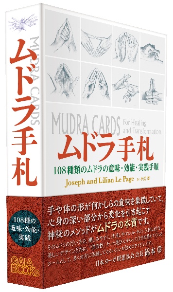 ムドラ手札　１０８種類のムドラの意味・効能・実践手順