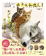 まるで親子のような犬と猫　今日も仲良し！　ユキちゃん　レンちゃん　サンちゃん