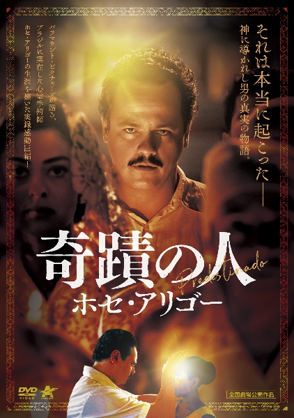 ありふれた奇跡　DVD セル版 2026年最新】ありふれた奇跡 DVD 中古の人気アイテム - メルカリ