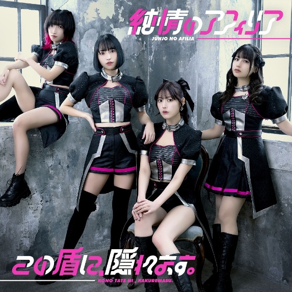 この盾に、隠れます。 A盤