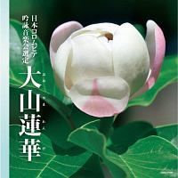 吟詠　二〇二三年度（第五十九回）コロムビア全国吟詠コンクール　課題吟　ＣＤ　大山蓮華