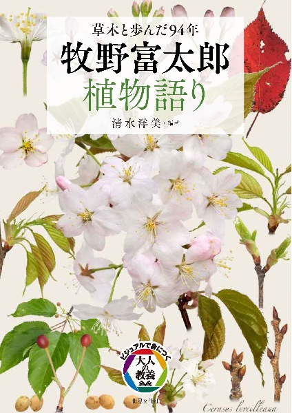 牧野富太郎植物語り 草木と歩んだ94年/清水洋美 - 販売書籍｜TSUTAYA