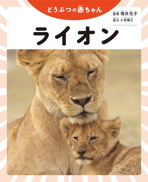 ライオン 図書館用堅牢製本