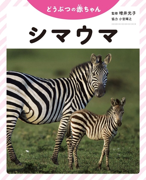 シマウマ 図書館用堅牢製本