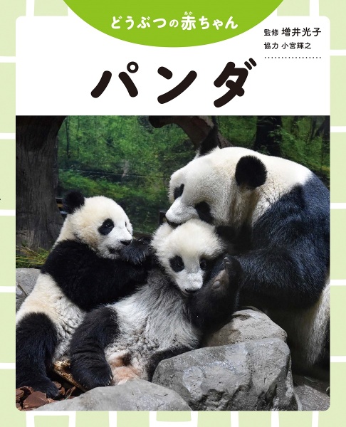 パンダ 図書館用堅牢製本