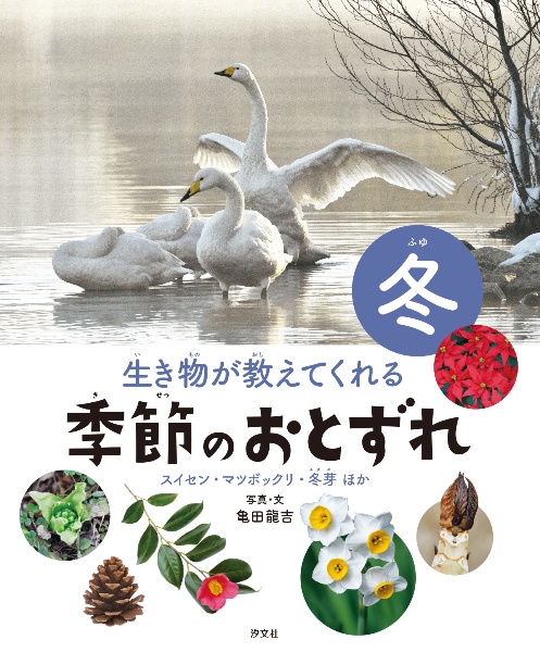 生き物が教えてくれる　季節のおとずれ　冬　冬　スイセン・マツボックリ・冬芽ほか　図書館用堅牢