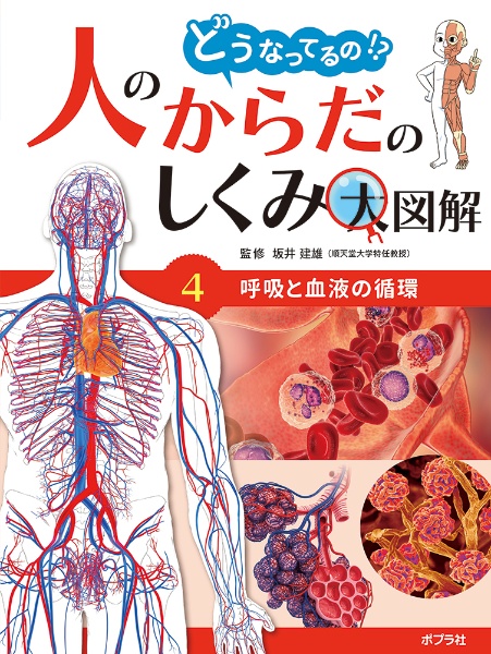 呼吸と血液の循環　図書館用特別堅牢製本図書