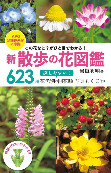 新散歩の花図鑑　この花なに？がひと目でわかる！　ＡＰＧ分類体系４に