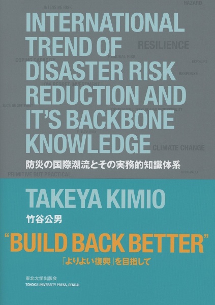防災の国際潮流とその実務的知識体系