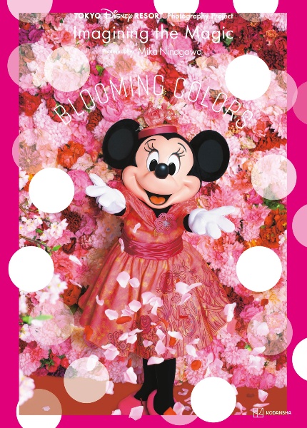 Tokyo Disney Resort Photography Project