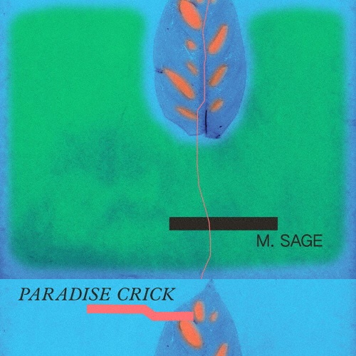 Ｐａｒａｄｉｓｅ　Ｃｒｉｃｋ