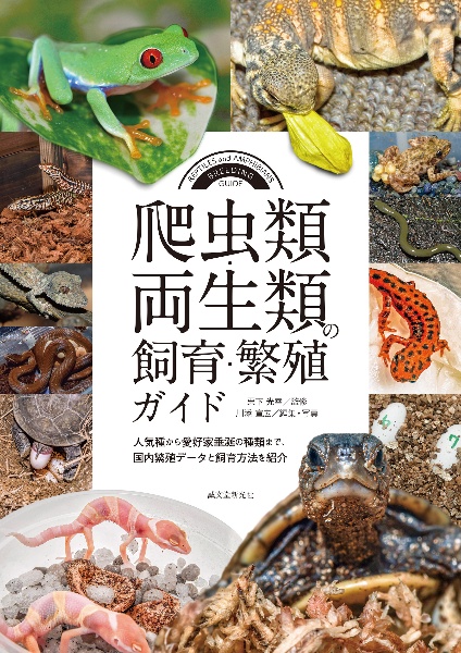 爬虫類・両生類の飼育・繁殖ガイド 人気種から愛好家垂涎の種類まで、国内繁殖データと飼育方法を紹介
