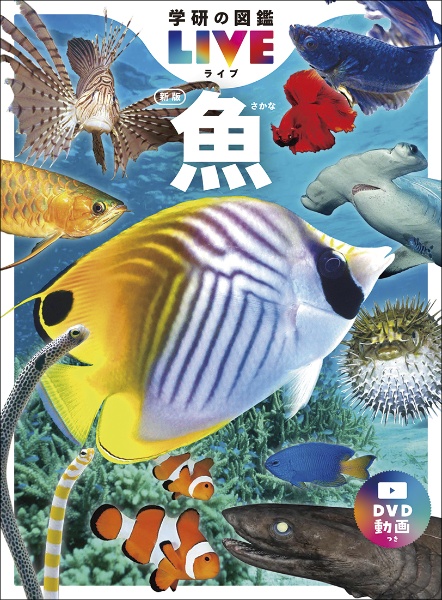 魚 新版