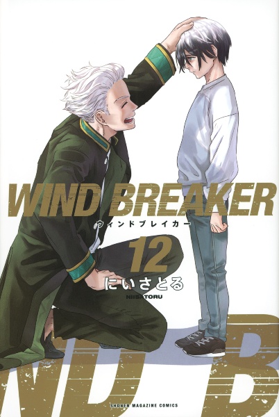 ＷＩＮＤ　ＢＲＥＡＫＥＲ１２