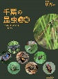 千葉の昆虫図鑑