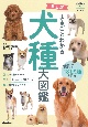 まるごとわかる犬種大図鑑　人気種から珍種まで181犬種を紹介！　改訂版