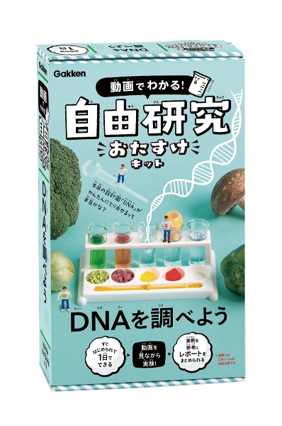 ＤＮＡを調べよう