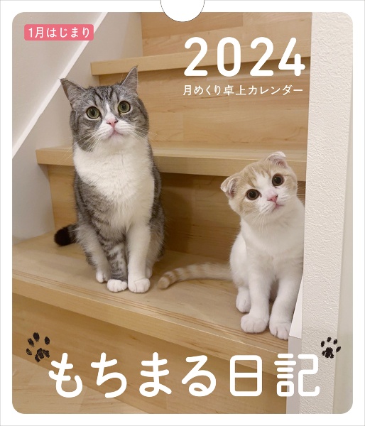 もちまる日記月めくり卓上カレンダー　１月はじまり　２０２４