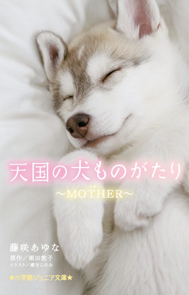 天国の犬ものがたり～ＭＯＴＨＥＲ～