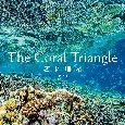 The　Coral　Triangle〜密林珊瑚〜