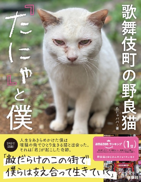 歌舞伎町の野良猫「たにゃ」と僕