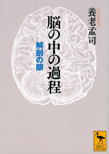 脳の中の過程　解剖の眼