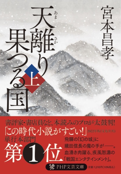 天離り果つる国(上)