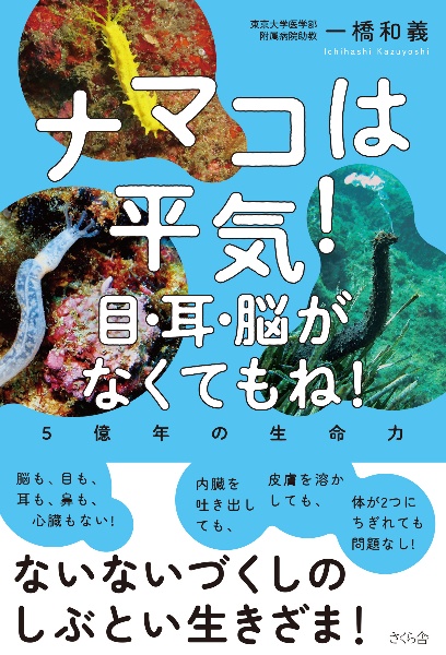 ナマコは平気!目・耳・脳がなくてもね! 5億年の生命力
