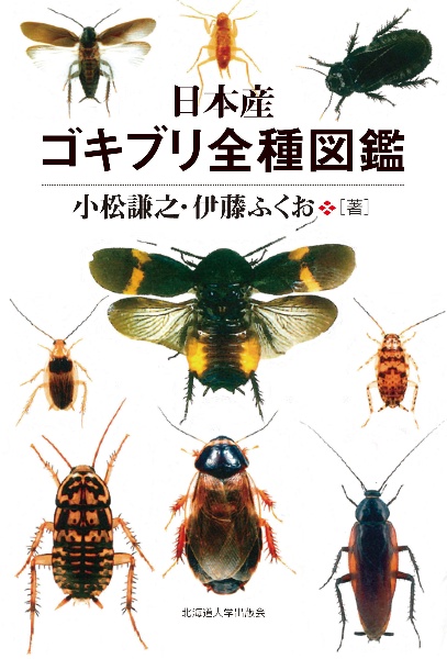 日本産ゴキブリ全種図鑑