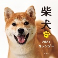 柴犬カレンダー　2024