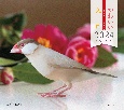 かわいい文鳥カレンダー　2024
