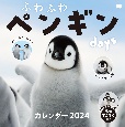 ふわふわペンギンdaysカレンダー　2024