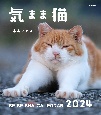 気まま猫　カレンダー　2024