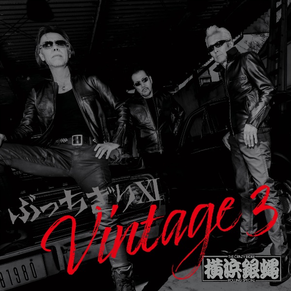 ぶっちぎりＸＩ　Ｖｉｎｔａｇｅ　３（通常盤）