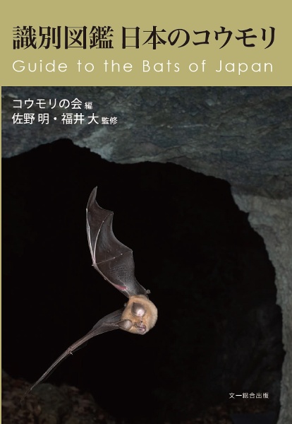 識別図鑑　日本のコウモリ