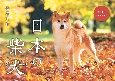日本の柴犬カレンダー　2024
